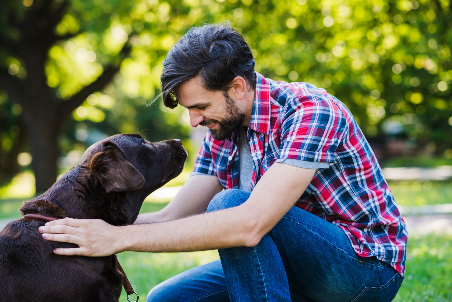 A man in a plaid shirt kneels on grass, smiling and holding his brown dog outdoors—perfect for a Pet Trust Attorney who values furry companions.